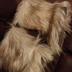 Vintage blondo yeti boots goat fur